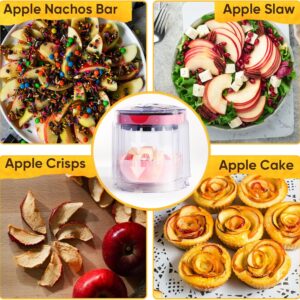 5.12 Inch Stainless Steel Apple Slicer With Base Bowl – Sumo Deals 5.12 Inch Stainless Steel Apple Slicer With Base Bowl Product Image Sumo Deals