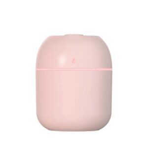 Pink Mini Humidifier