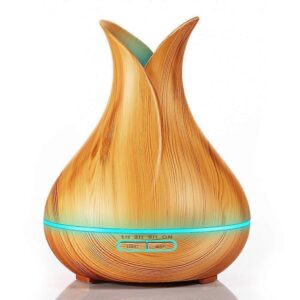 Aroma Humidifier