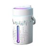 Bluetooth Music Humidifier