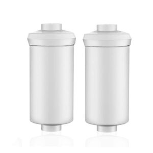 Pair of white fluoride filtration filters for water filter systems