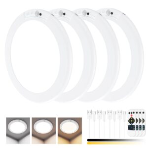 Motion Sensor Ceiling Light