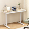 Artiss Standing Desk Motorised Electric Dual Motor Draw 120CM Oak product image