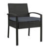 Gardeon Outdoor Dining Chairs Patio Furniture Rattan Lounge Chair Cushion Felix product image