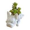 Flower Pots Resin Dogs Succulent Planter Puppy Plants Planter French Bulldogss Shape Cute Bonsai Flo product image