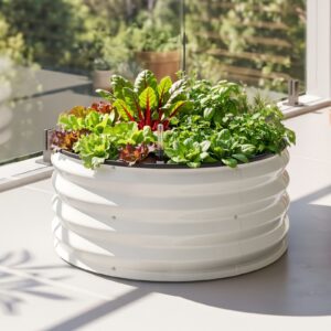White corrugated metal raised garden bed with various herbs & lettuce, for balcony gardening.