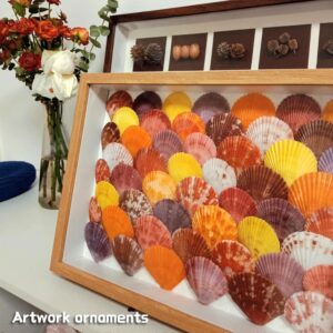 Wooden framed shadow box with colorful natural scallop seashells, home decor artwork.