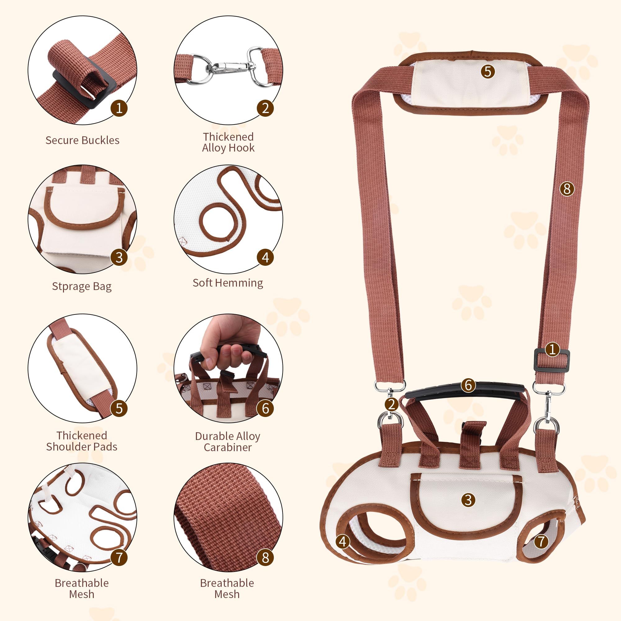 Hands-Free Dog Backpack Carrier For Small Dogs, Xl Orange – Sumo Deals Hands Free Dog Backpack Carrier For Small Dogs, Breathable Pet Carrier With Adjustable Straps,Portab Product Image