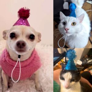 10Pcs Party Hat Cute Sequins Small Party Hats Adjustable Mini Glitter Cat Birthday Hat Small Multico Product Image