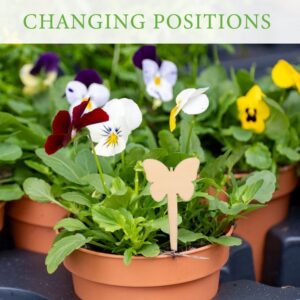 50pcs Wooden Plant Labels Garden Markers - Vegetable, Herb, Flower, Tree Name Tags for Indoor, Outdo product image