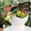 Frogs Garden Outdoor Decor Statue - Frog Statues Resin Cute Animal Sculpture Lights, Ideal Ornament product image