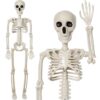 Plastic articulated skeleton prop, off-white with black eye sockets, for Halloween decor or educational display.