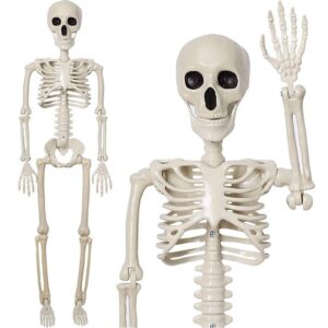 Plastic articulated skeleton prop, off-white with black eye sockets, for Halloween decor or educational display.