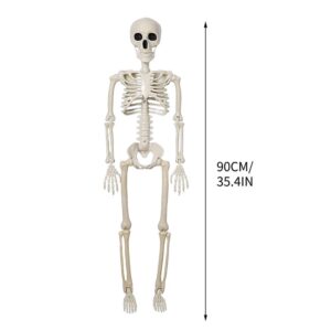 90Cm Plastic Halloween Skeleton Decoration, Off-White, Full Body, Realistic Bones For Spooky Decor.