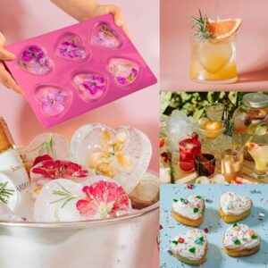 Silicone Heart Mould | 6-Cavity Baking &Amp; Chocolate – Sumo Deals Pink Silicone Heart-Shaped Ice Cube Tray Making Floral Ice Cubes For Drinks.