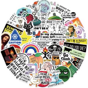 Assorted vinyl meme stickers, multi-color, for personalizing laptops, water bottles, and notebooks.
