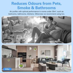 Air Purifier Before/After Comparison: Smoky Room With Dog Vs. Clean Modern Living Space. Shows Odor Reduction.