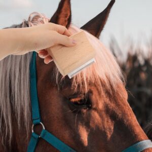 Wooden Horse Mane Comb With Metal Teeth, Light Brown, For Grooming And Detangling Horse Hair.